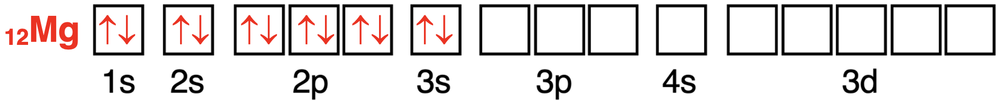 Orbital box diagram showing the configuration of electrons in orbitals for magnesium.