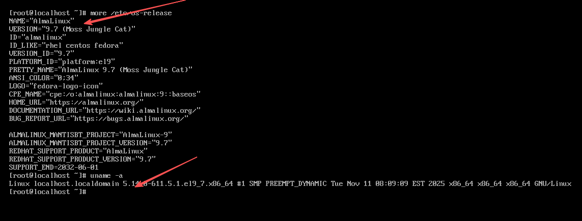 image-20251126084105475
