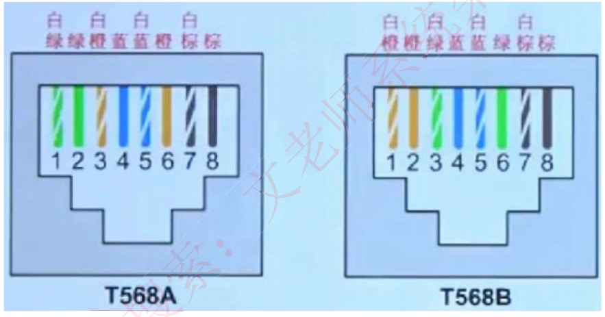 image-20240623153608658