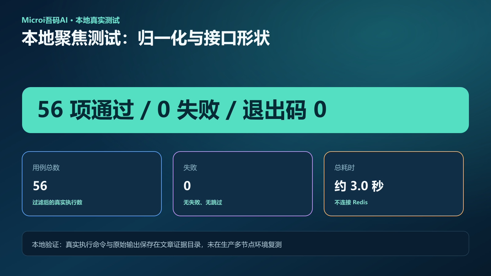 本地聚焦测试真实运行输出的终端截图