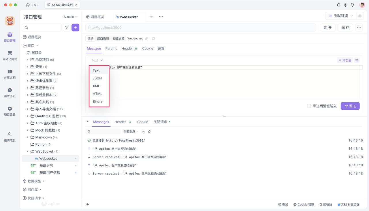 Apifox WebSocket 测试界面