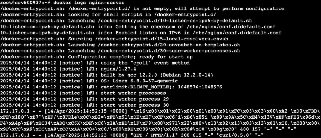 Terminal window with docker logs command executed and logs displayed
