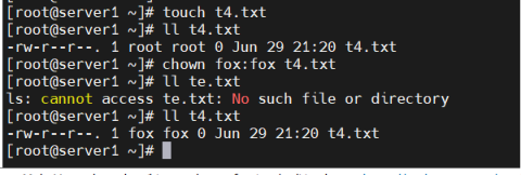 image-20260630130350203