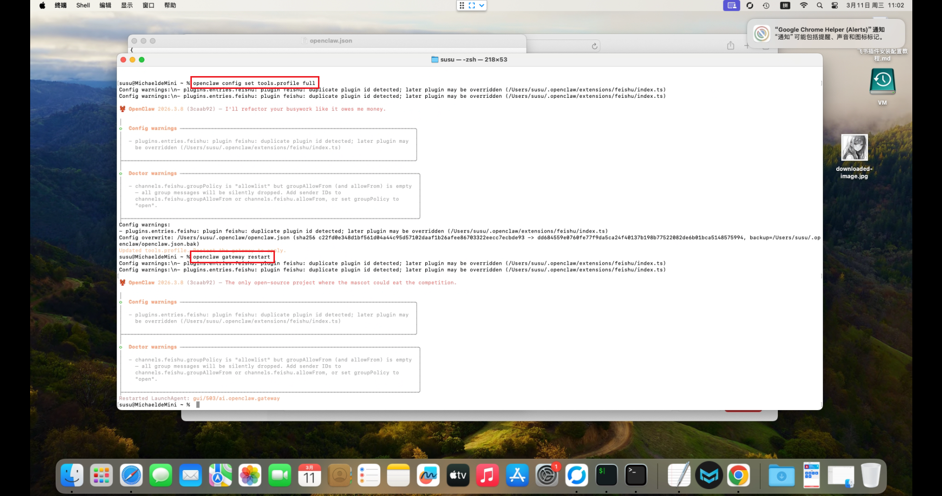 image-20260311110306136