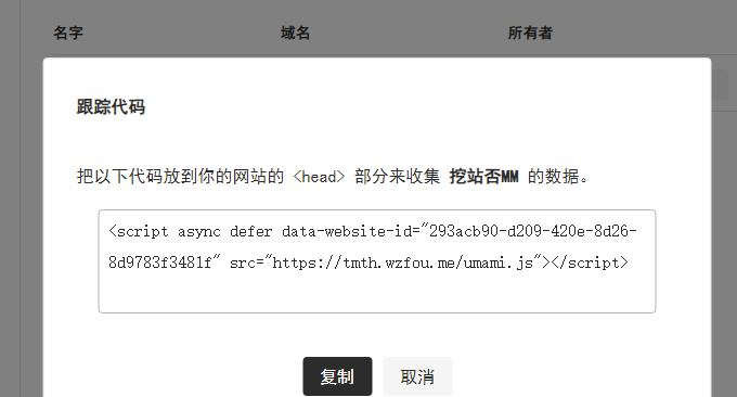 Umami统计复制代码