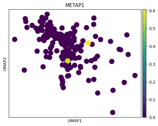 No description has been provided for this image