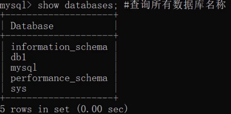 image-20260509203154795