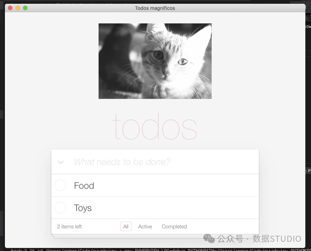 macOS