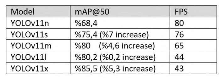 YOLOv11各版本性能对比