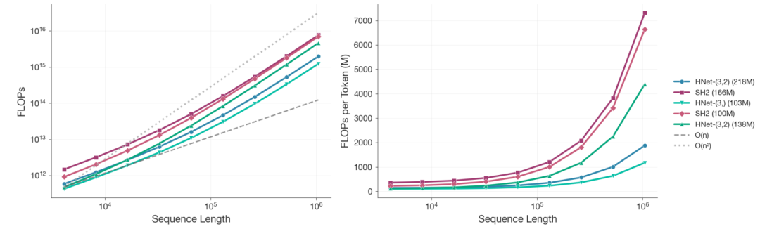 推理速度提升3倍，多伦多大学等提出dnaHNet，基因组学习计算成本降低近4倍