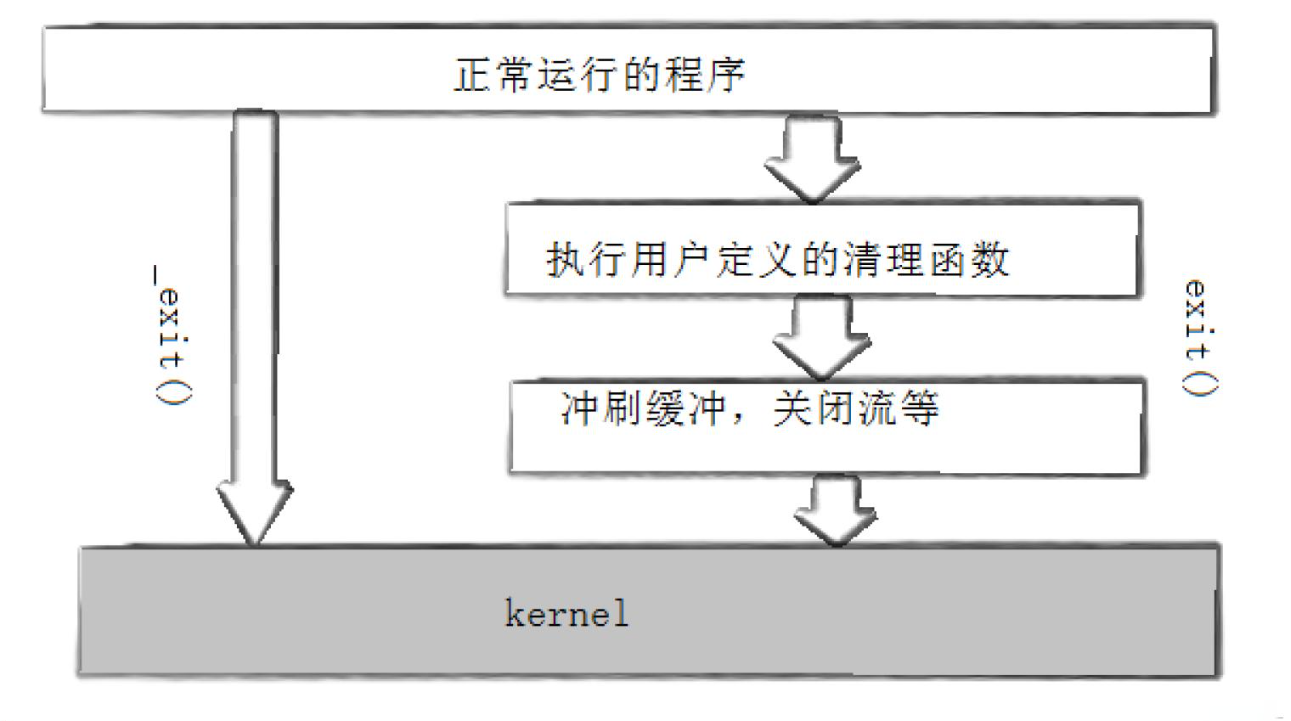 image-20250311231158841
