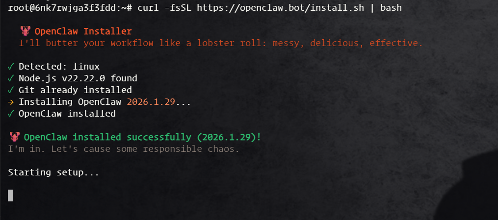 OpenClaw 钉钉教程 - 安装过程初始化界面