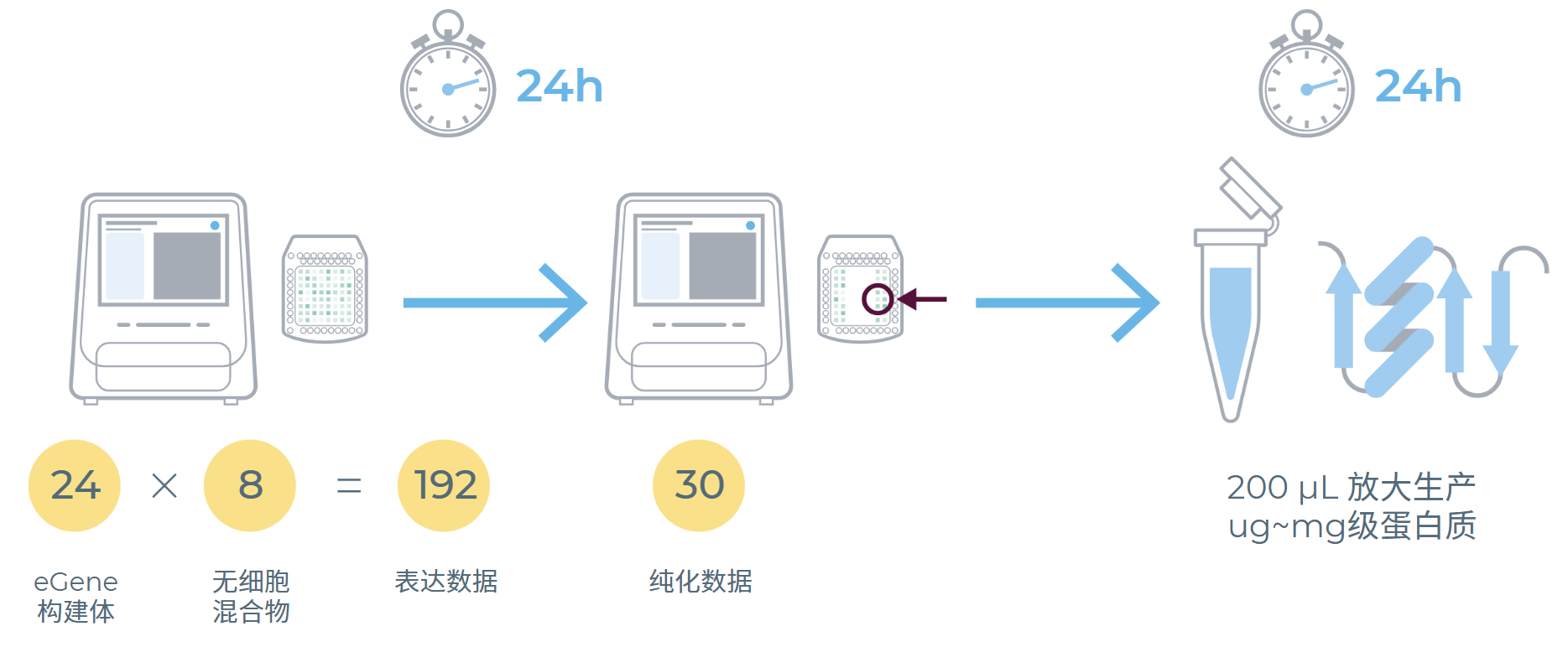 eProtein Discovery流程