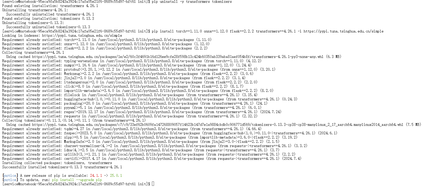 成功安装依赖库