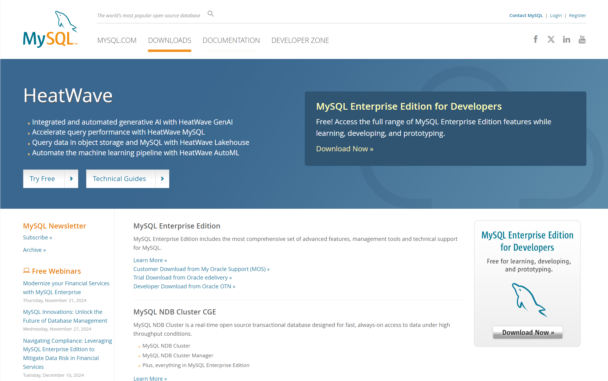 image-20241120154141494