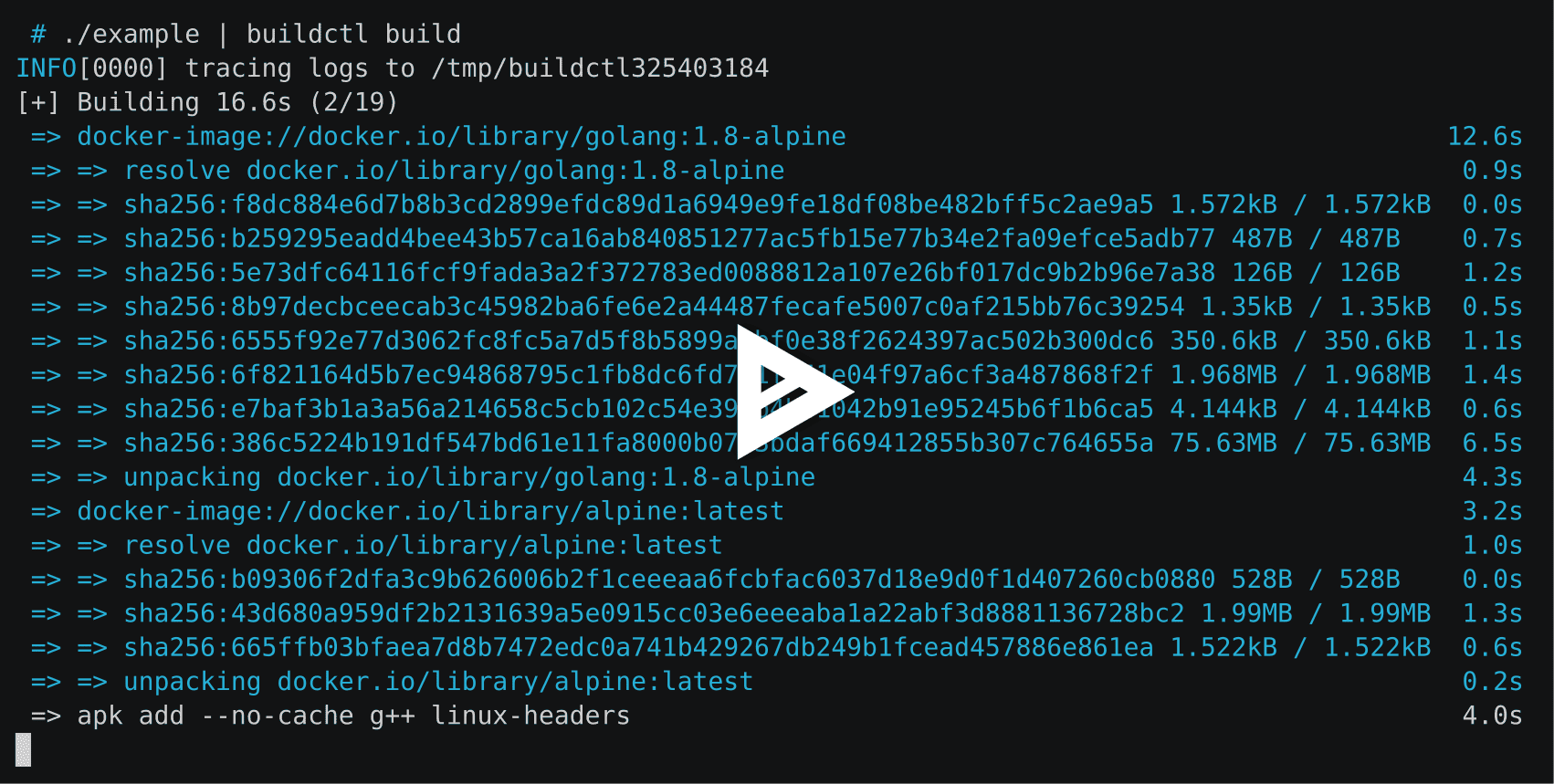 asciicinema example