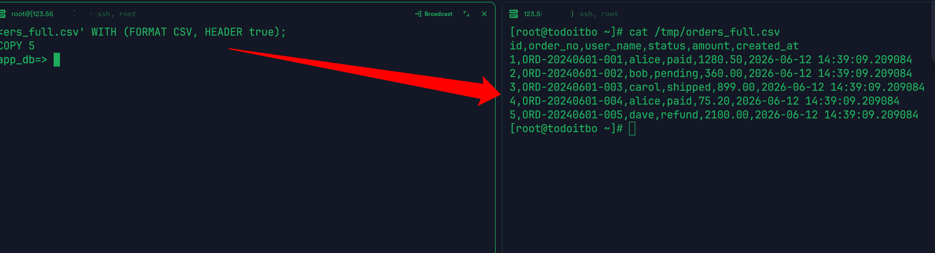 copy 导出全表 csv