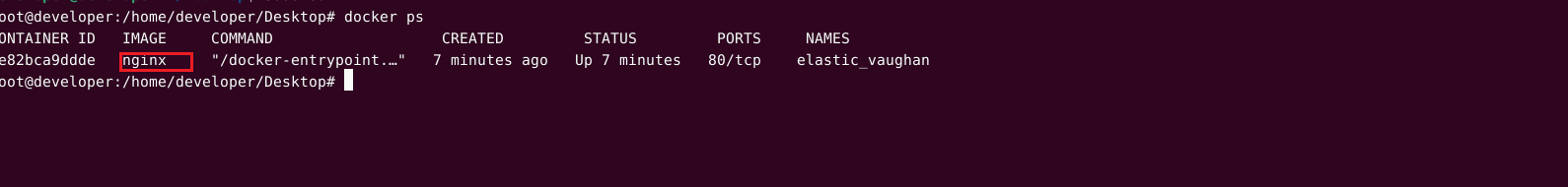 docker常见命令_nginx_07