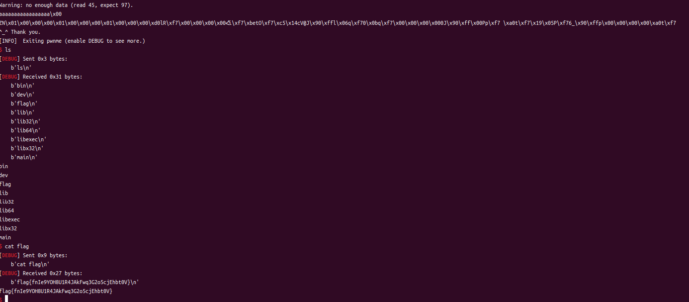 image-20250822202854732