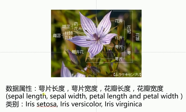 image-20250724095043674