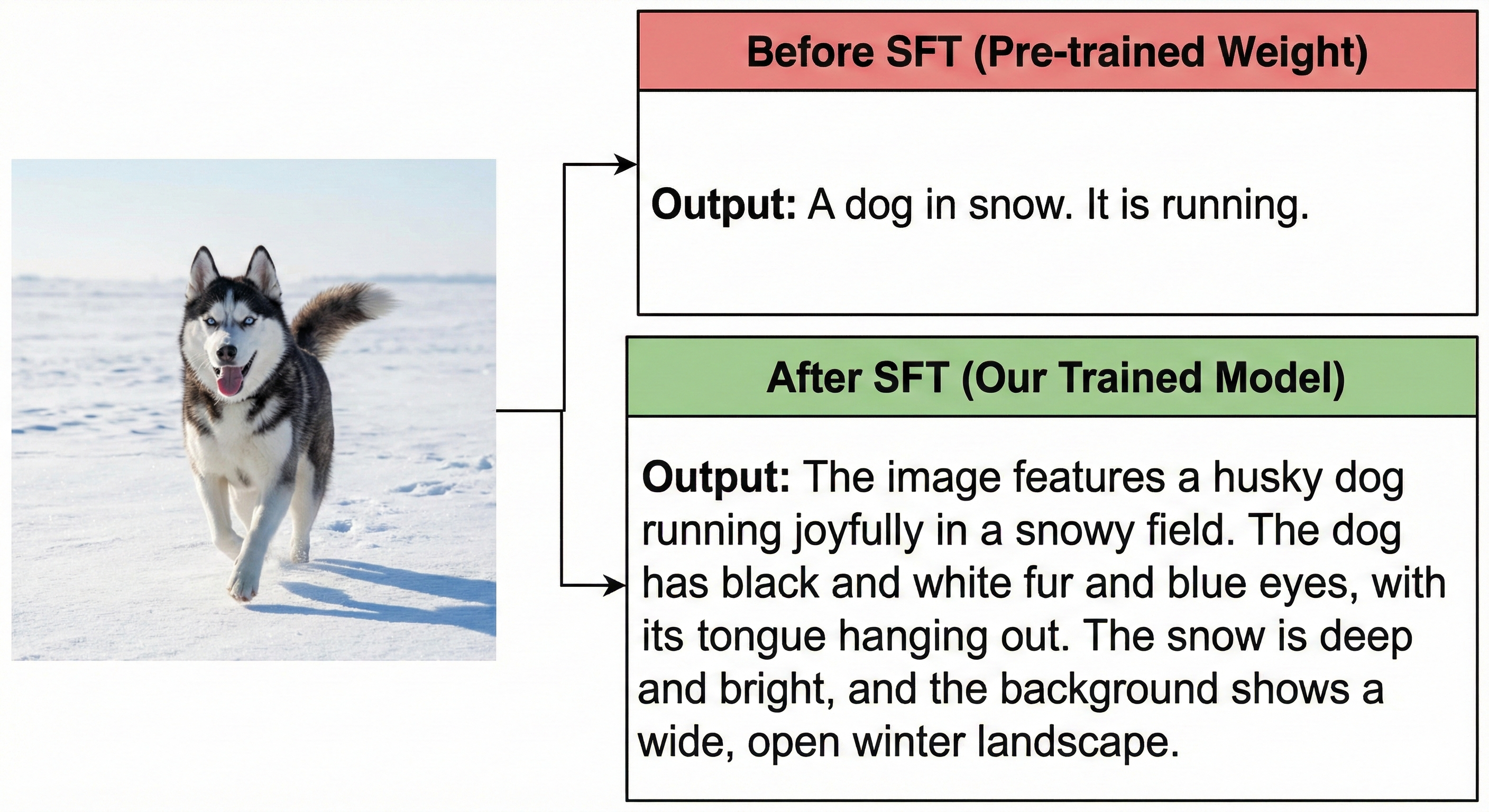 图5：微调前后的效果对比可视化