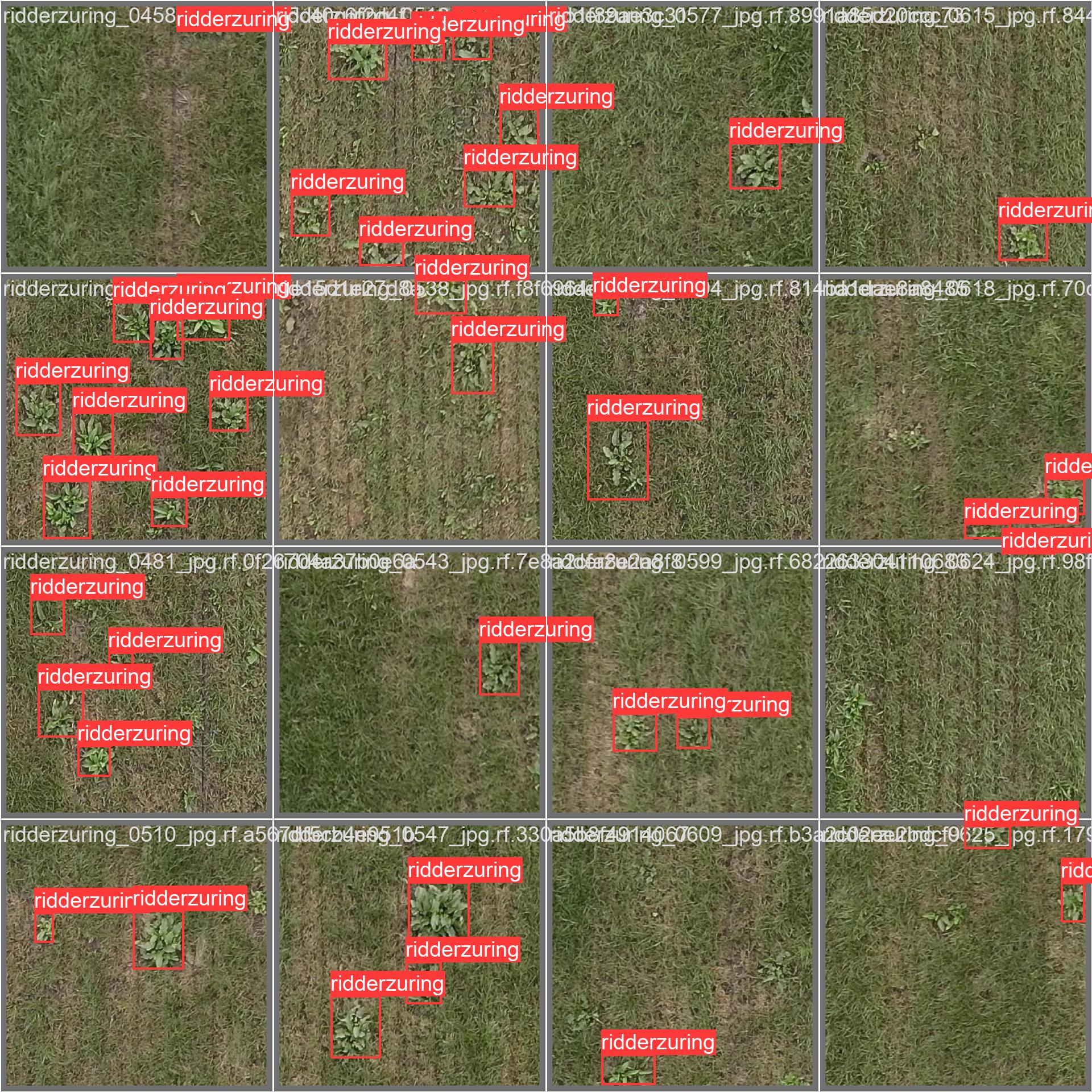 val_batch1_labels.jpg