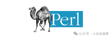 Pearl programming language what it is and what it is used for | NEATsoft