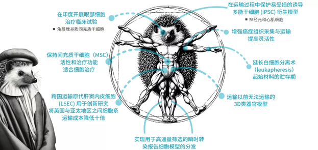 水凝胶怎么保存实验保存FAQ：生物样本如何实现常温运输？Atelerix水凝胶技术与应用解析_https://www.jmylbn.com_新闻资讯_第3张