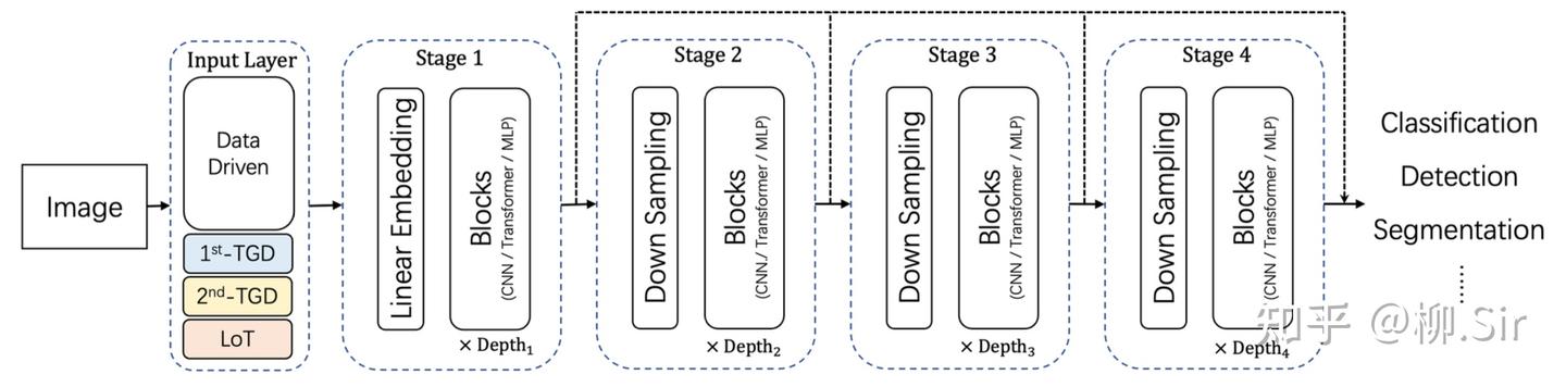 图6:嵌入 TGD 算子的通用视觉神经网络架构