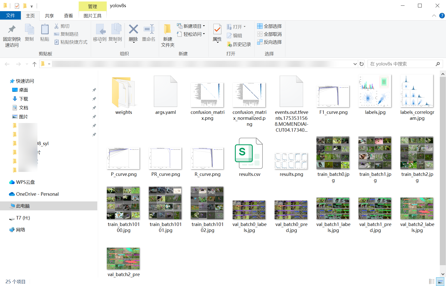 64_butterfly_det-weights_folder_screenshot.png