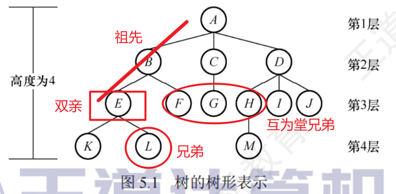 image-20250722155511376