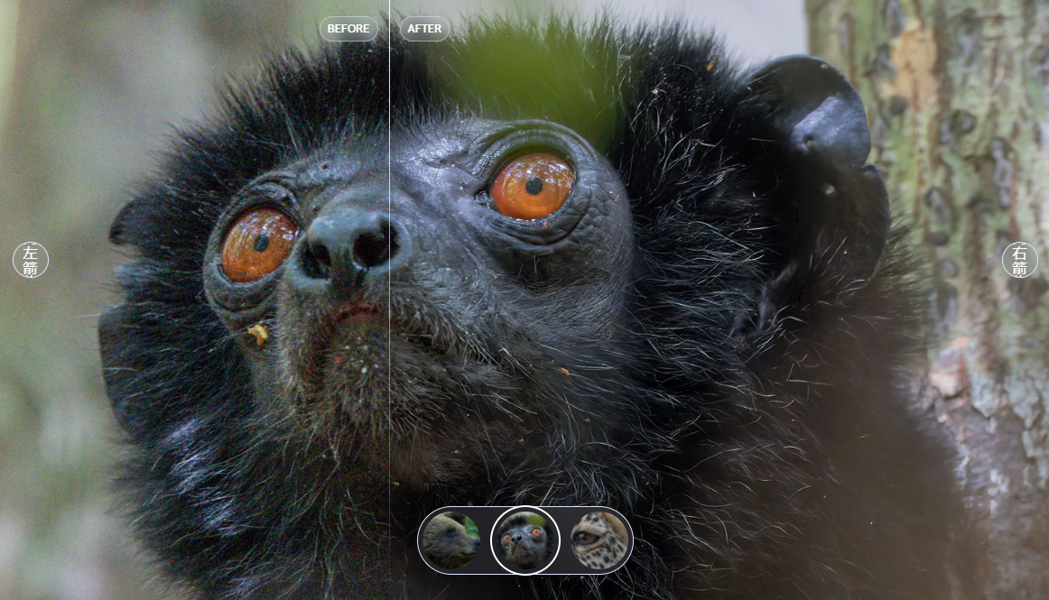 Topaz Photo AI4.0（简体中文汉化版）一款人工智能AI模糊图片变清晰软件_topaz photo ai 4