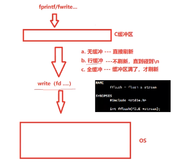 image-20250327232309862