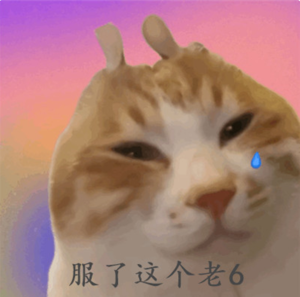 1752817564_6879df9cd786cd9da1305.png!small?1752817565668