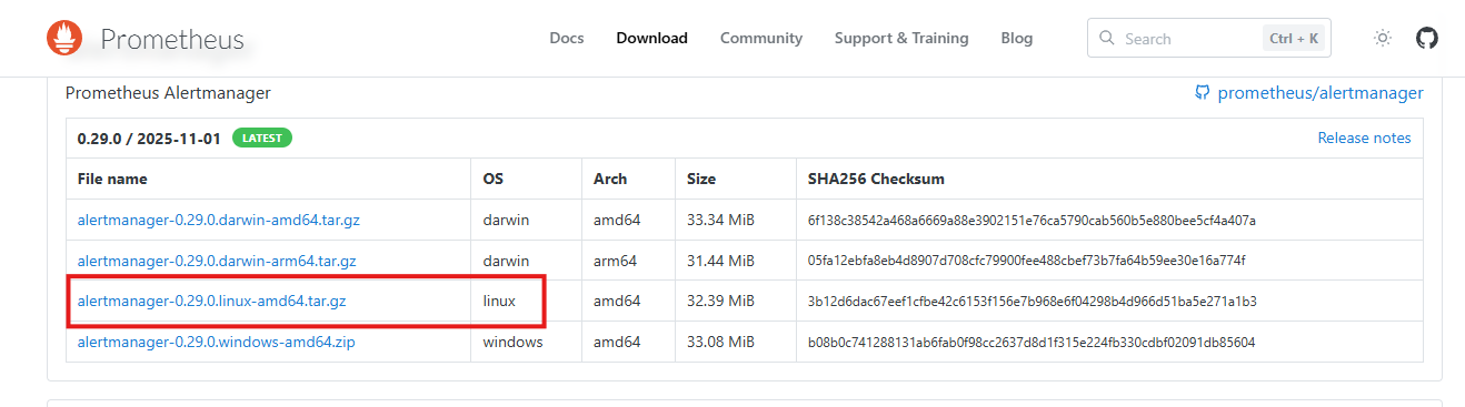 image-20251111162957977