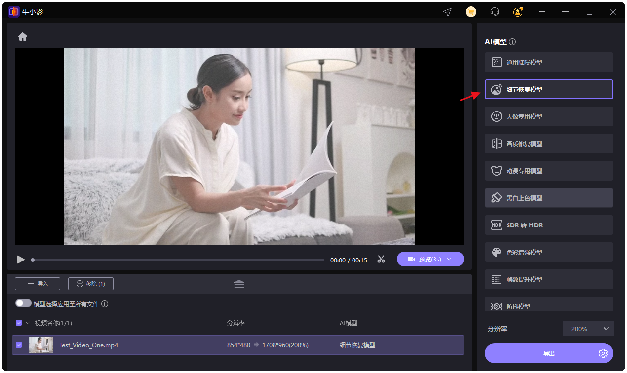 选择细节恢复模型