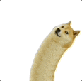 a30948e151d7e080b2f65487fd487e37.gif