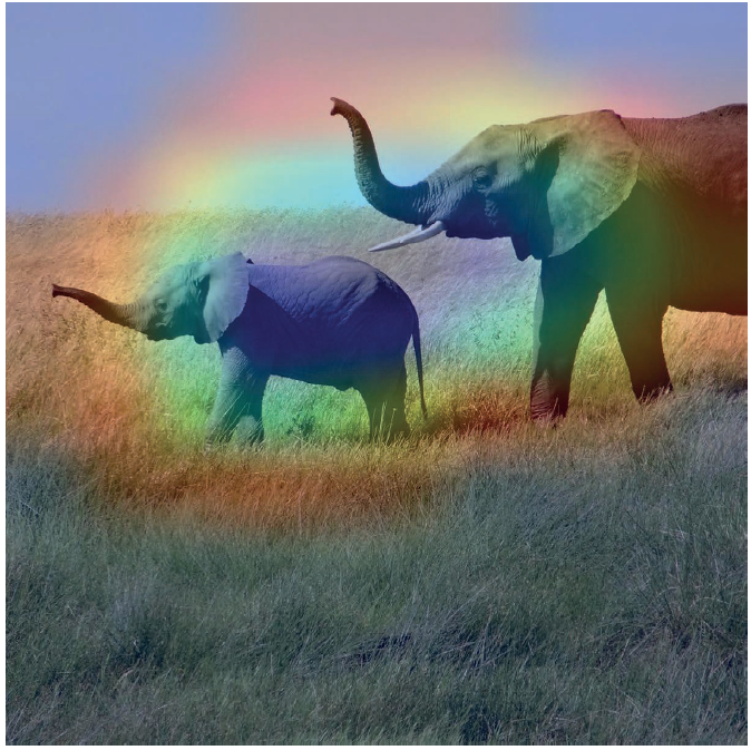 热力图叠加效果