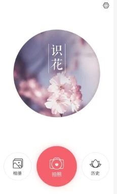 识花app