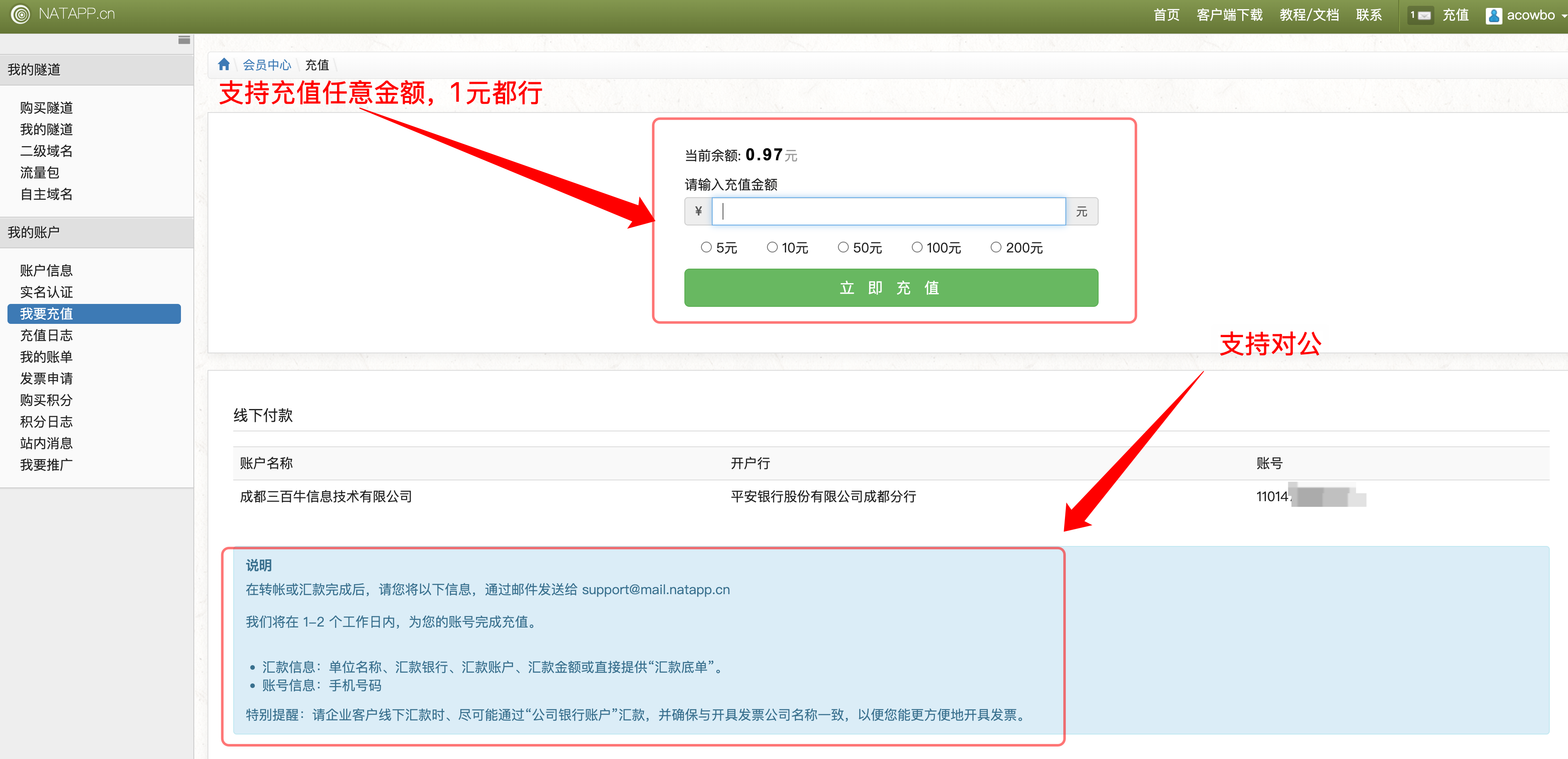 Natapp 账户充值页面