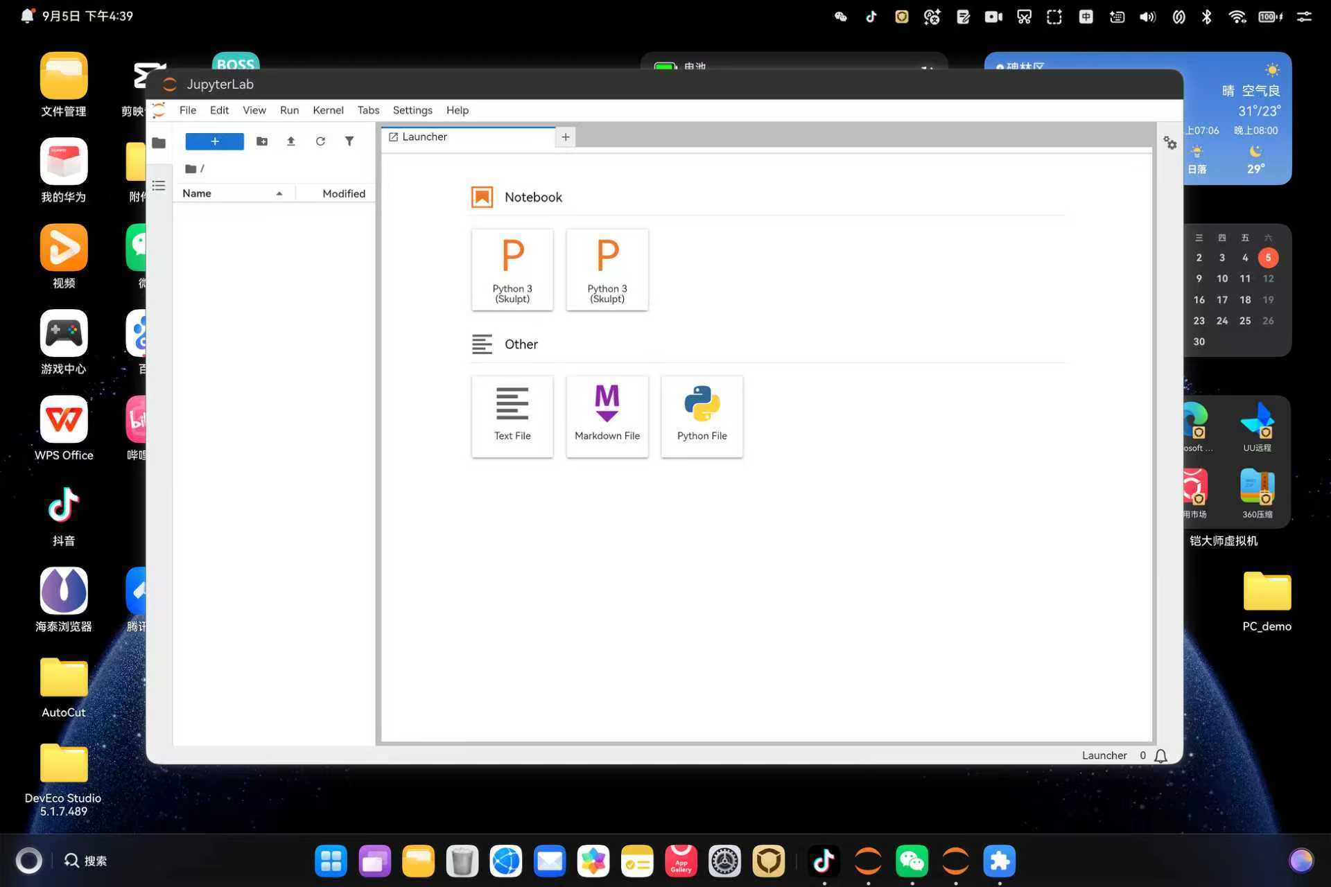 Launcher:新建 Notebook(Python 3 (Skulpt))、Text File、Markdown File、Python File 全部可用