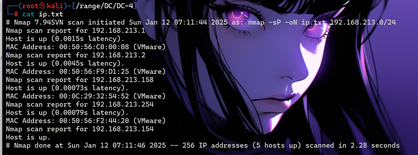 image-20250113194725962