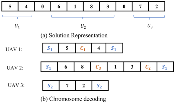 representation of the chromosome encoding and decoding