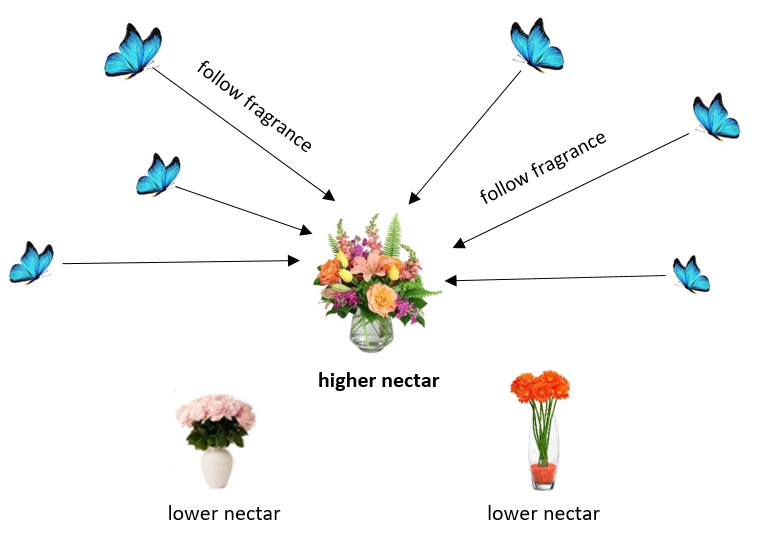 图3：蝴蝶的运动行为