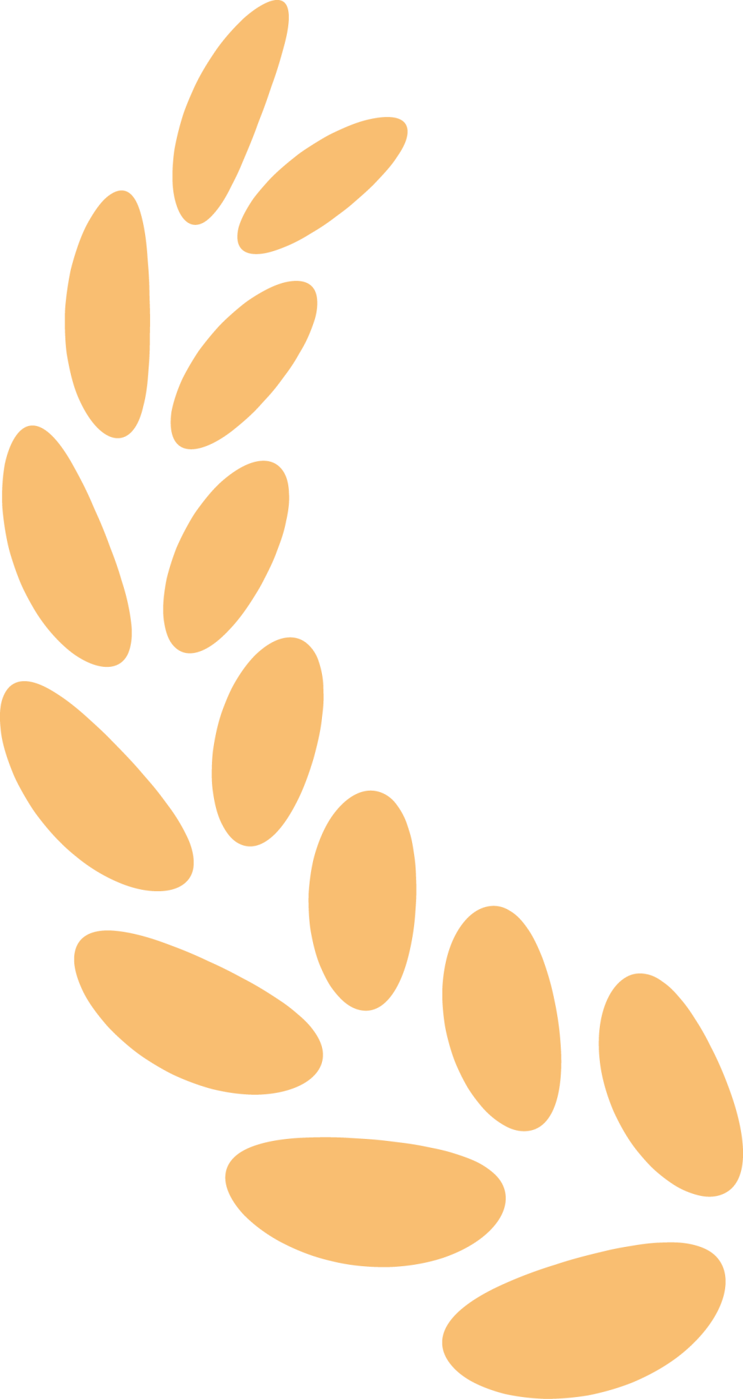 a6a4a4b3f19b6e69cf7aea018d12c576.png