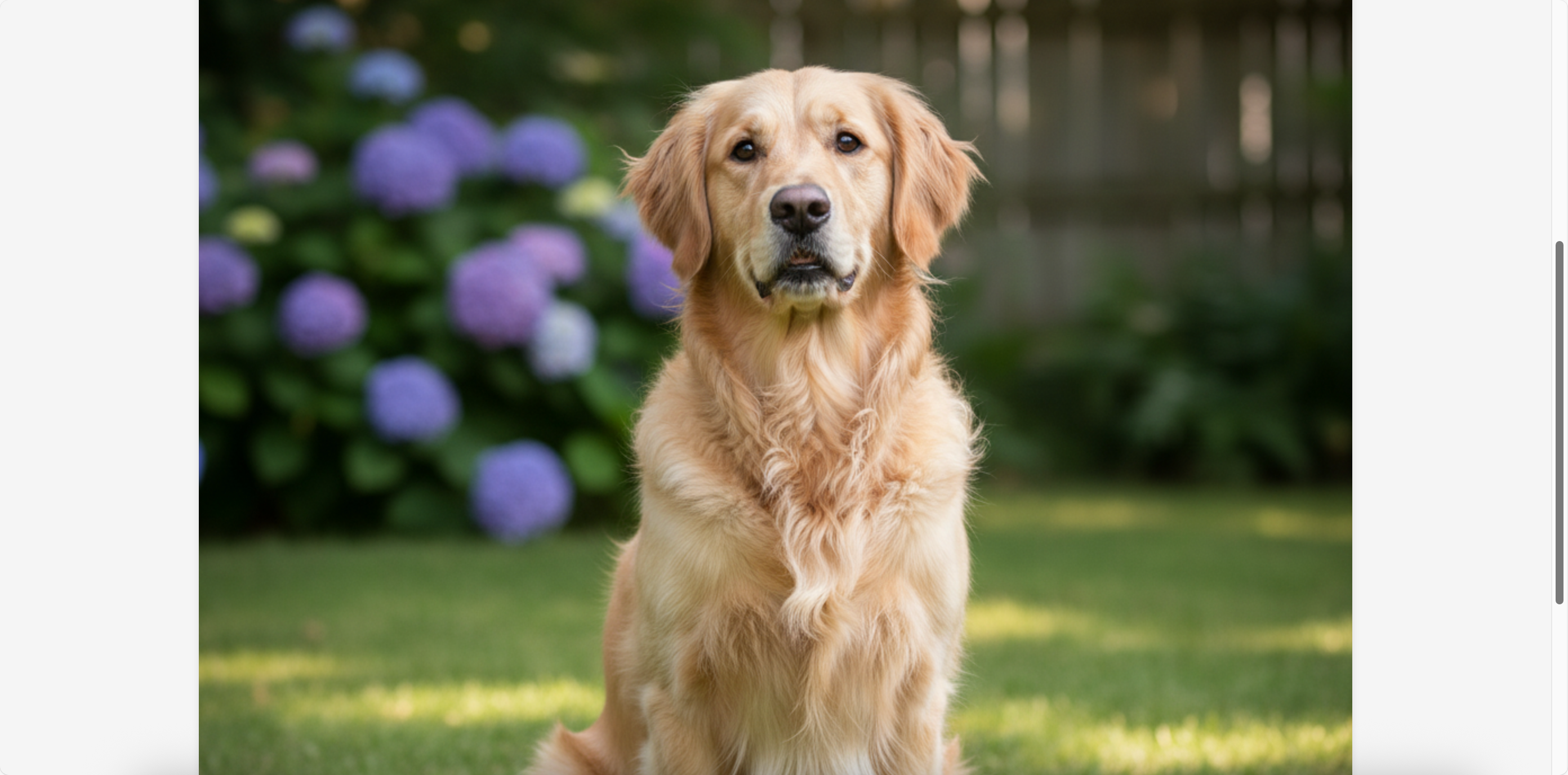 image-20250830131330117