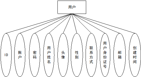 用户实体属性图