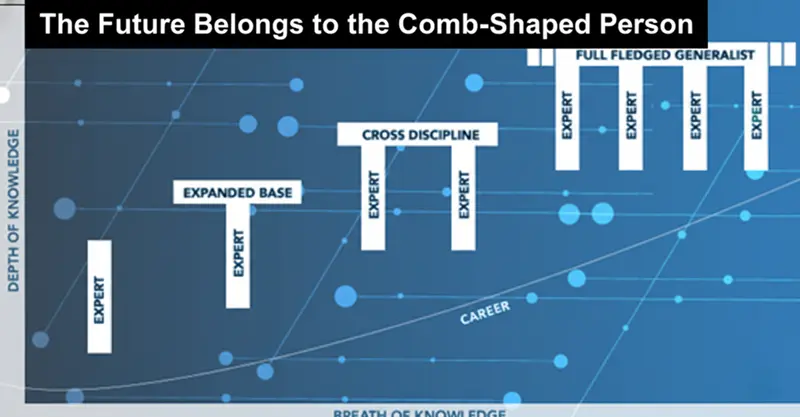 未来属于”梳子型“人才