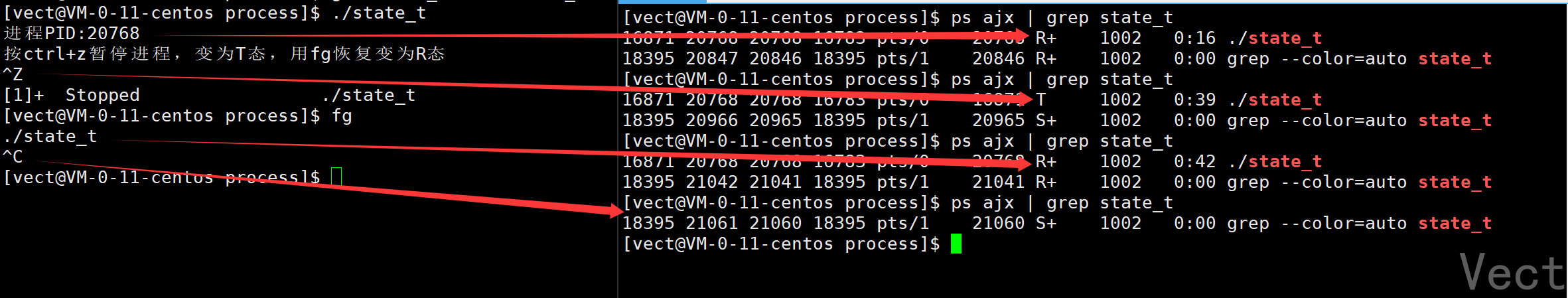 image-20251219092650912